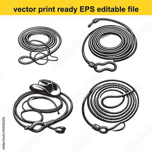 Lasso vector silhouette