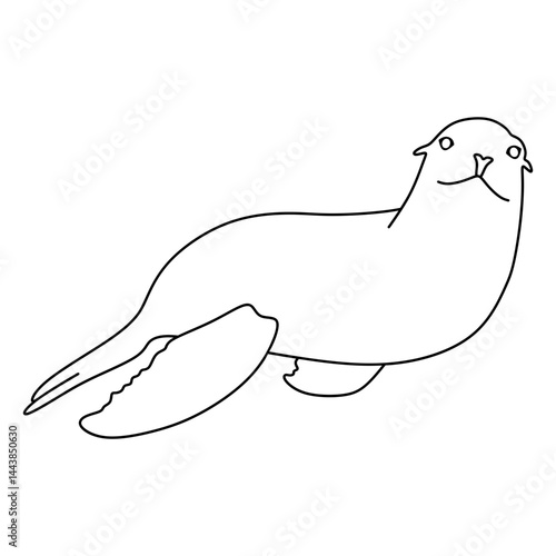 California sea lion