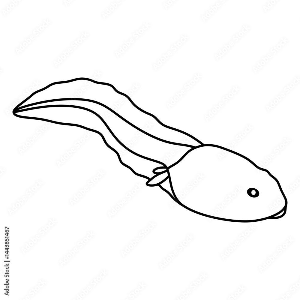 tadpole tadpole