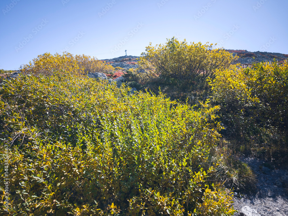 Panorama of Vitosha Mountain near Cherni Vrah peak, Bulgaria