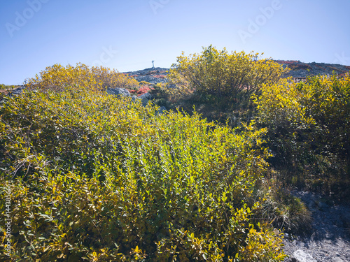 Panorama of Vitosha Mountain near Cherni Vrah peak, Bulgaria
