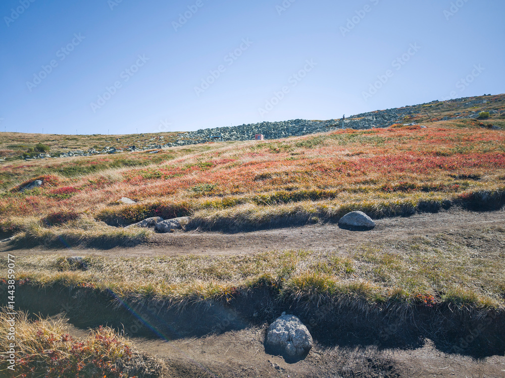 Panorama of Vitosha Mountain near Cherni Vrah peak, Bulgaria