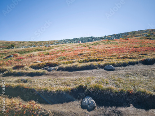 Obraz na płótnie Panorama of Vitosha Mountain near Cherni Vrah peak, Bulgaria w salonie