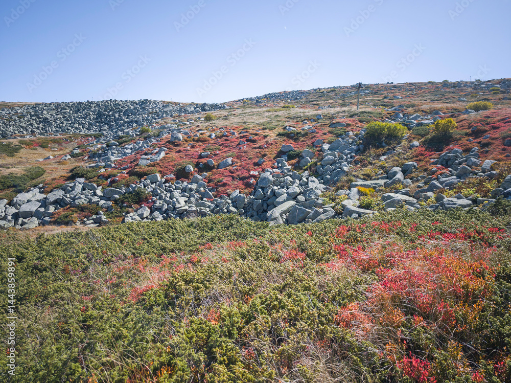 Panorama of Vitosha Mountain near Cherni Vrah peak, Bulgaria
