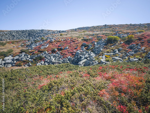 Obraz na płótnie Panorama of Vitosha Mountain near Cherni Vrah peak, Bulgaria w salonie