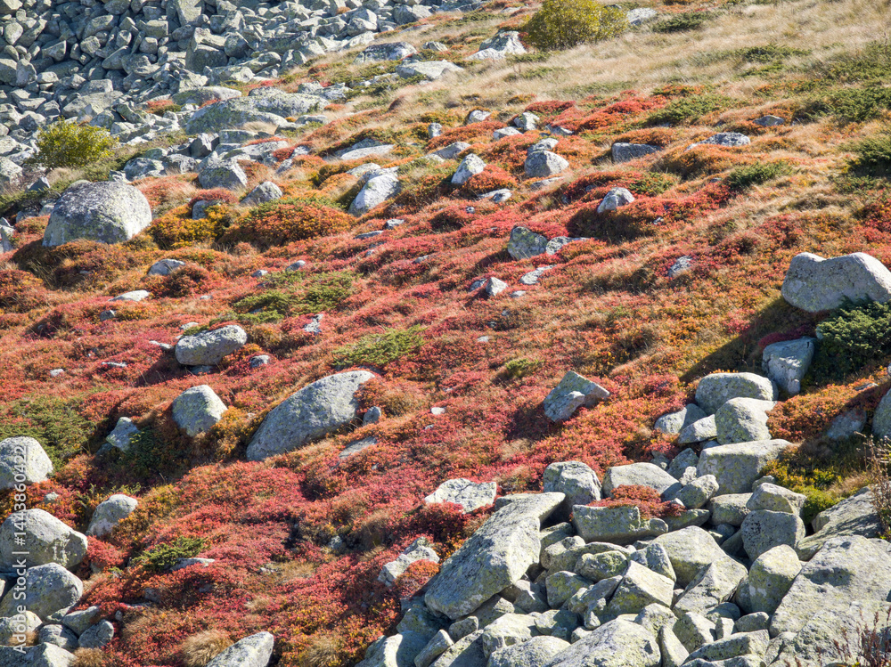 Panorama of Vitosha Mountain near Cherni Vrah peak, Bulgaria
