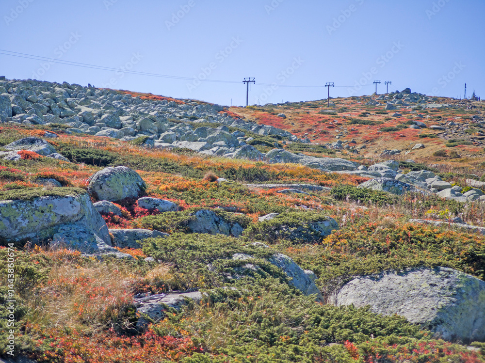 Panorama of Vitosha Mountain near Cherni Vrah peak, Bulgaria