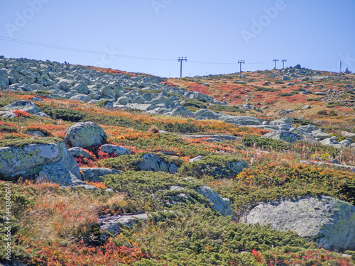 Obraz na płótnie Panorama of Vitosha Mountain near Cherni Vrah peak, Bulgaria w salonie