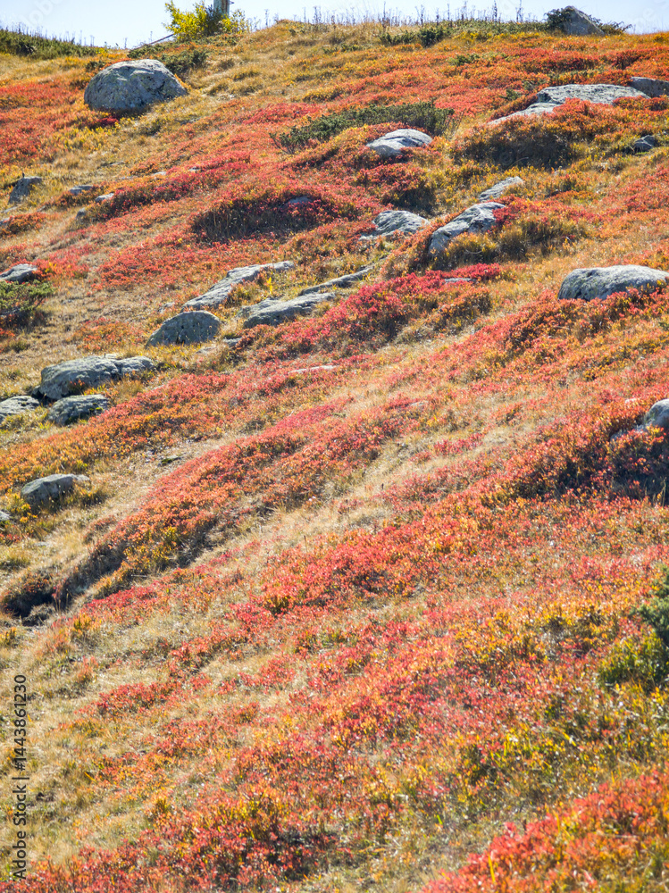 Panorama of Vitosha Mountain near Cherni Vrah peak, Bulgaria
