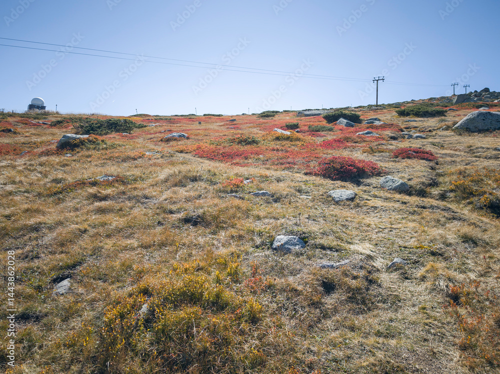 Panorama of Vitosha Mountain near Cherni Vrah peak, Bulgaria
