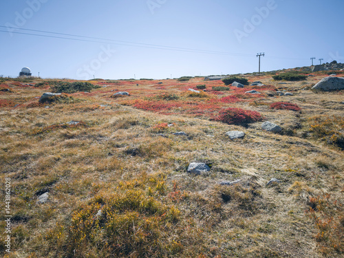 Obraz na płótnie Panorama of Vitosha Mountain near Cherni Vrah peak, Bulgaria w salonie