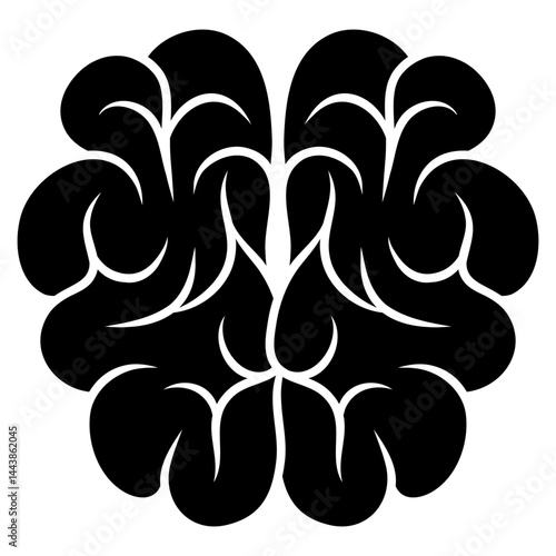 anatomy of brain organ