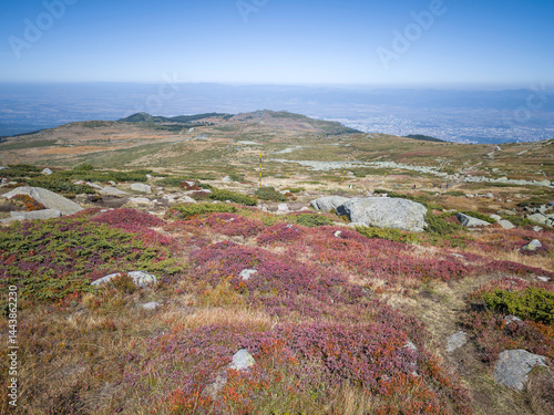 Obraz na płótnie Panorama of Vitosha Mountain near Cherni Vrah peak, Bulgaria w salonie