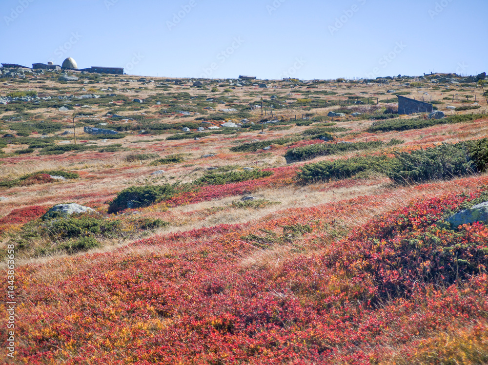 Panorama of Vitosha Mountain near Cherni Vrah peak, Bulgaria