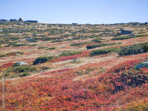 Obraz na płótnie Panorama of Vitosha Mountain near Cherni Vrah peak, Bulgaria w salonie