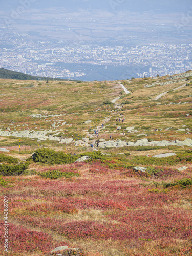 Obraz na płótnie Panorama of Vitosha Mountain near Cherni Vrah peak, Bulgaria w salonie