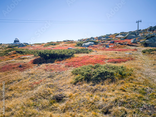 Obraz na płótnie Panorama of Vitosha Mountain near Cherni Vrah peak, Bulgaria w salonie