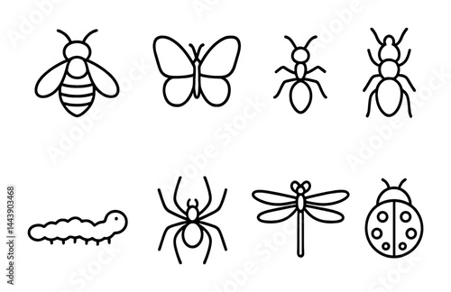 Insects outline icon set – linear style nature, wildlife, and bug symbols for entomology: bee, butterfly, ant, caterpillar, spider, dragonfly, ladybug.