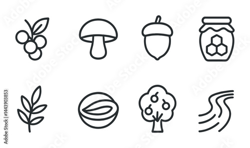 Foraging and harvest icon set – outline style nature, wild edible, and organic symbols for environmental awareness: berries, mushroom, acorn, honey, herb, seed, tree, river.