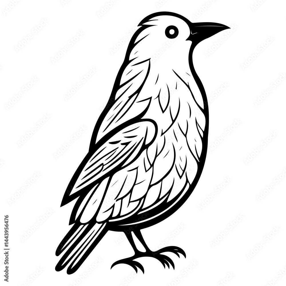 Obraz premium Stylized avian illustration presenting minimalist outline artwork, showcasing avian anatomy