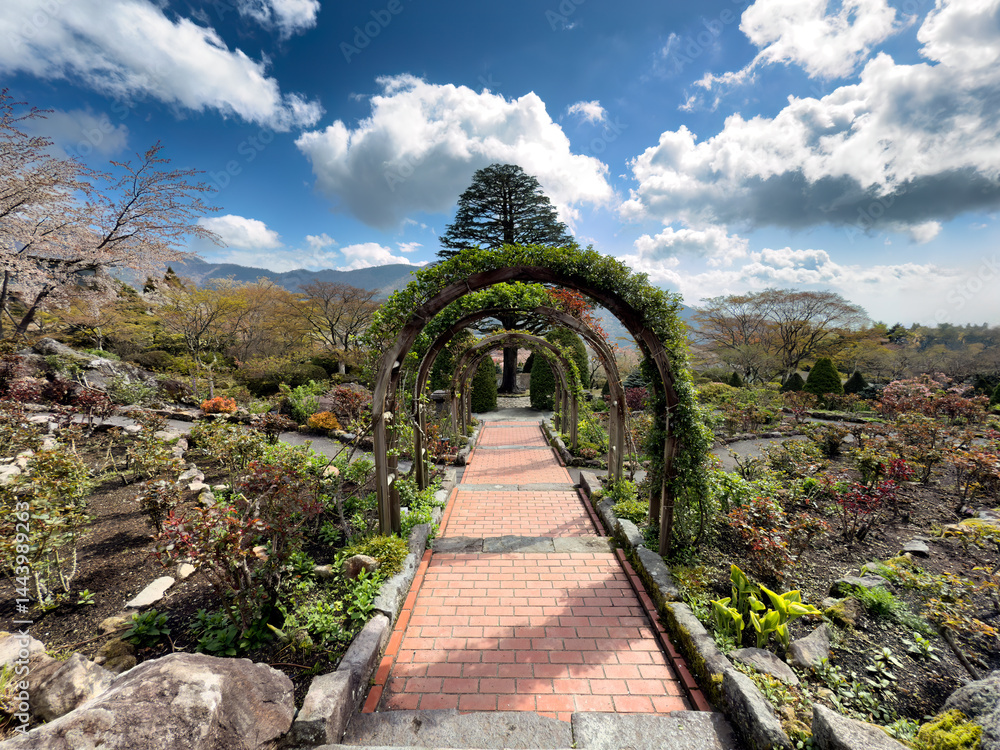 Arch pathway in public park to the gardens in late spring season