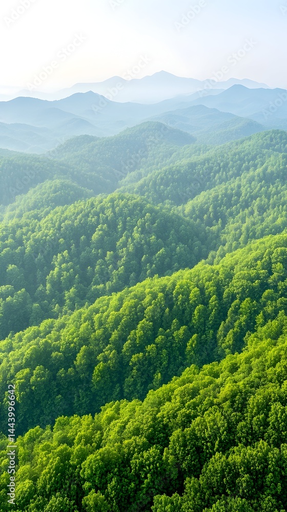 Fototapeta premium Lush green mountain range, layers of hills fading into misty distance