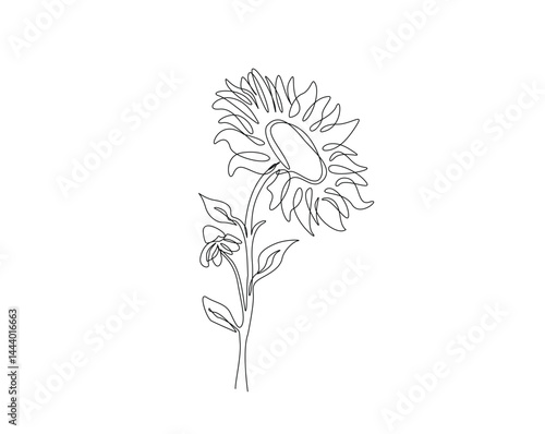 Beautiful sunflower outline drawing illustration. one continuous line drawing of sunflower.