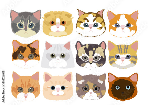 世界の猫　主線なしイラスト