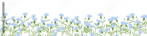 Blue cornflower border, floral, summer, vector flat illustration. Mothers Day, Romantic 