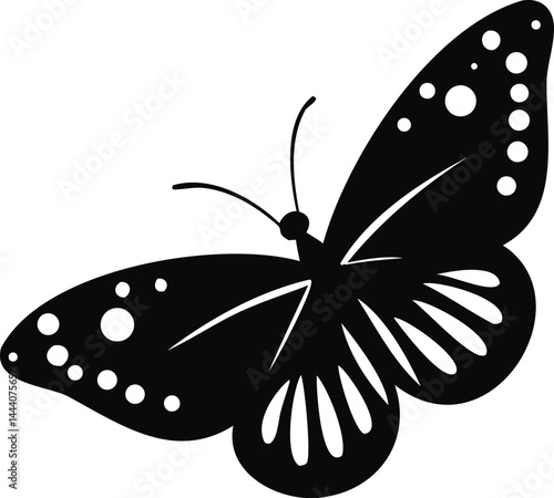 Black and white butterfly, an isolated insect with beautiful wings, flutters on a white background