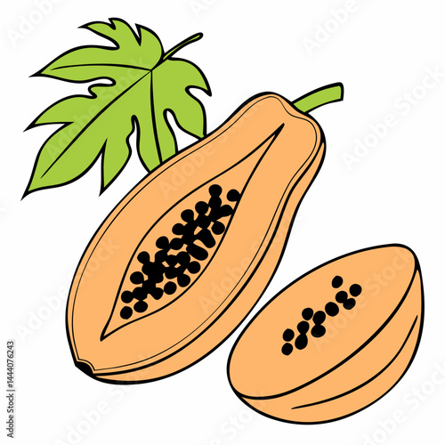 illustration of whole and half of ripe papaya fruit with seeds isolated and slices on white background