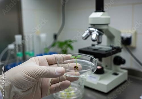 Wallpaper Mural Plant biology research with seedling in petri dish Torontodigital.ca