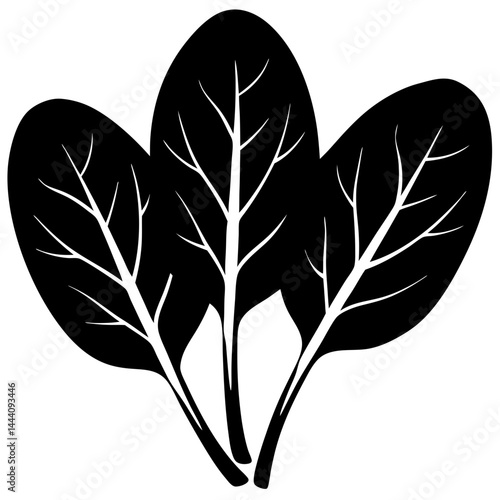 Spinach Plant Healthy Organic Food Icon Vector Illustration on Transparent Background PNG Image