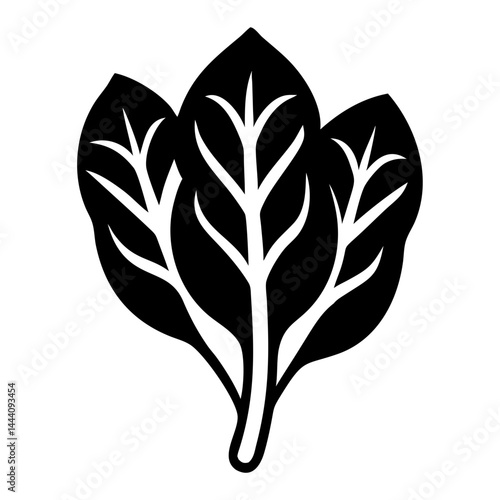 Spinach Plant Healthy Organic Food Icon Vector Illustration on Transparent Background PNG Image