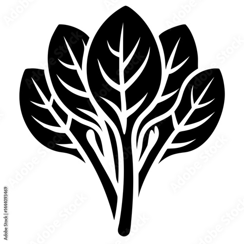 Spinach Plant Healthy Organic Food Icon Vector Illustration on Transparent Background PNG Image
