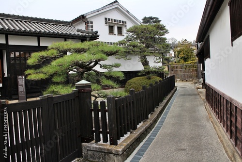 Cityscape at Kurashiki Bikan Historical Quarter (old town) in Japan