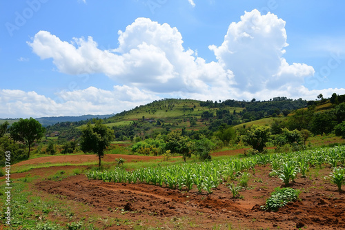 Farmland Under a Clear Blue Sky