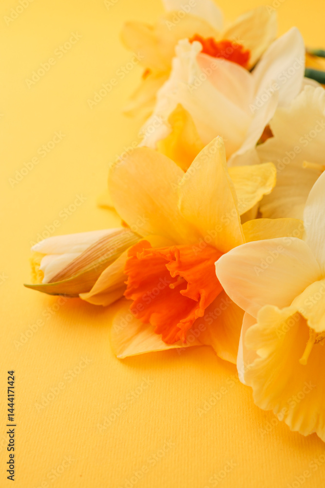 Obraz premium A row of fresh yellow daffodil flowers arranged along the bottom of a bright yellow background, creating a cheerful spring composition with space for text