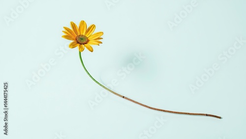 Obraz na płótnie Elegant Flower Arrangement with Copy Space for Branding Design w salonie