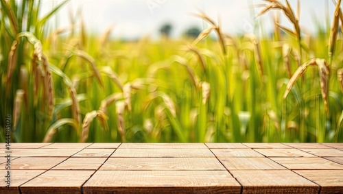 Obraz na płótnie Rustic Wooden Tabletop Display on Blurry Rice Field Background w salonie