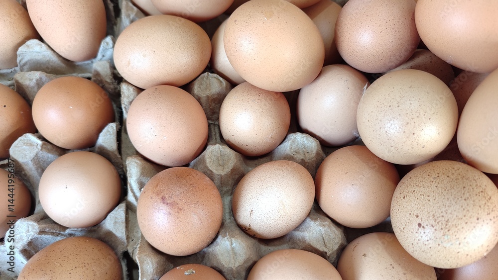 egg, chicken, brown, eggshell, farm, protein, raw, fresh, closeup egg, chicken, brown, eggshell, farm, protein, raw, fresh, closeup