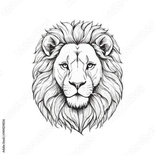 Lion vector