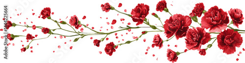 Red carnation flower arrangement with falling petals isolated on white background. Flower illustration with clipping path for decoration