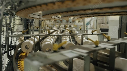 Rolls of toilet paper moving along a conveyor belt at a paper manufacturing plant