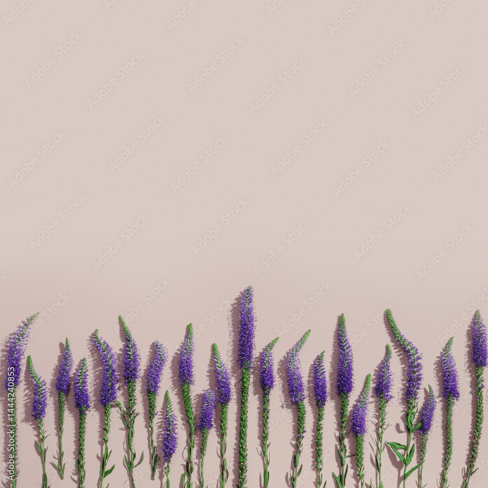 Natural blooming Purple close up flowers as trend minimal layout on pale pink light background, minimal trend aesthetic floral overview photo. Beautiful nature still life with wildflowers Veronica