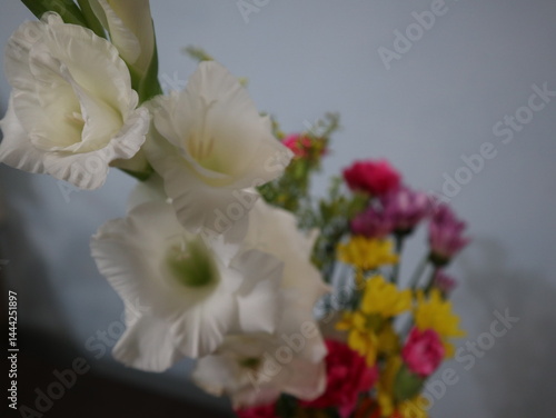 Colorful Flower Arrangement in a Vase
