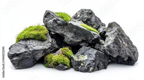 Group of volcanic rocks with moss clusters on white background.