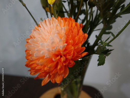 orange flower in the vase design for home decor lifestyle