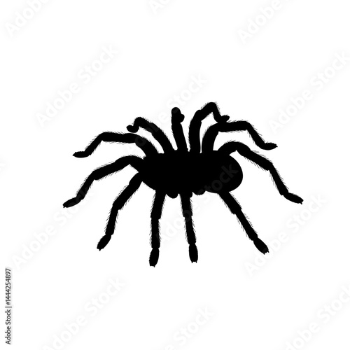 Spider icon silhouette in black