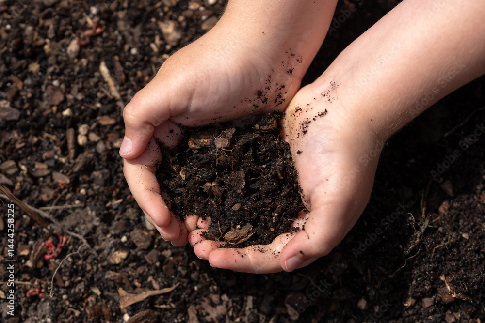Kid holding soil. Child planting. Small hands with ground. Soil in kids hands. Spring gardening. Farm life for kid. Earth in tiny hands. Rural childhood. Kid holding soil. Kid grasping rich soil.